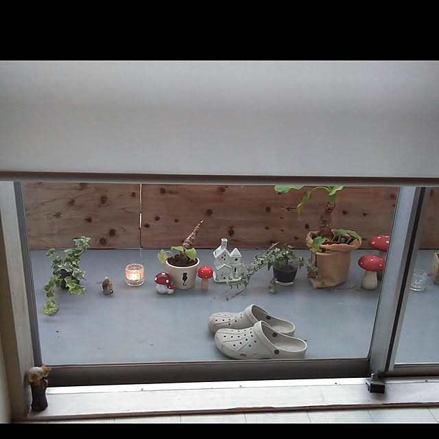 catloveさんの実例写真