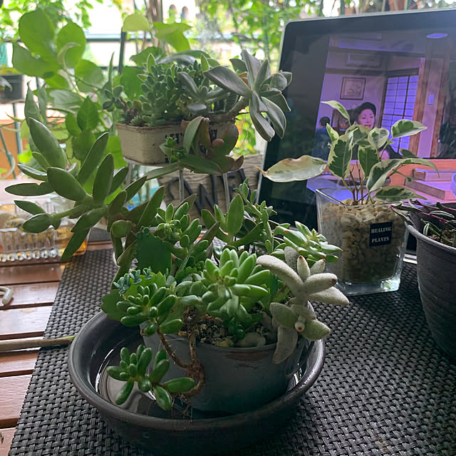 Aqettyさんの部屋
