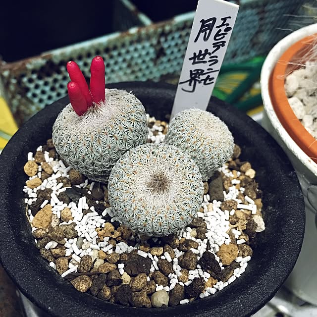 khma88さんの実例写真