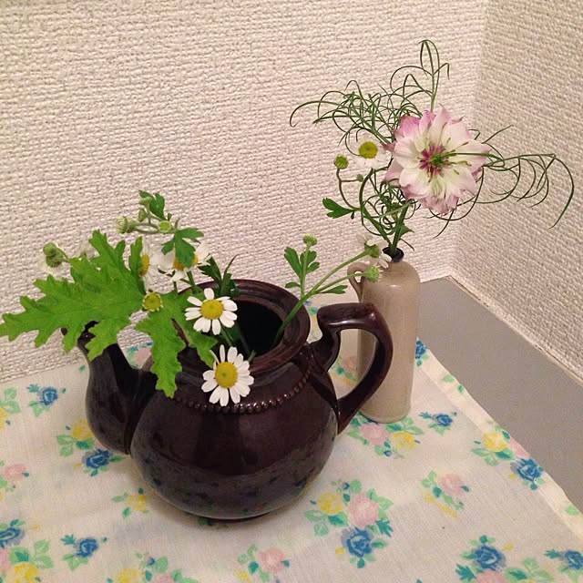 玄関/入り口のインテリア実例 - 2014-01-30 21:37:19
