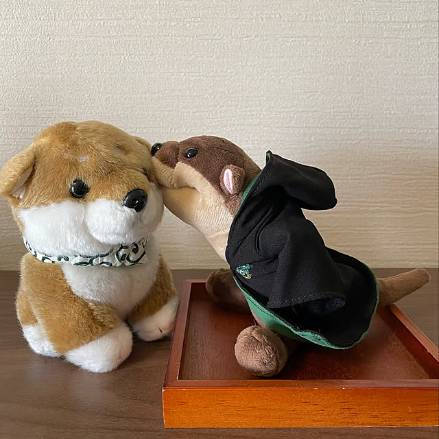aureaさんの実例写真