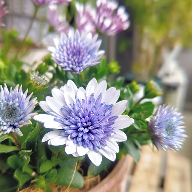 YuriYuriさんの部屋