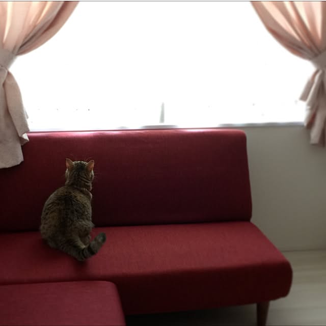 meloさんの実例写真