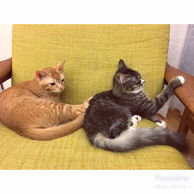 Hisashiさんの実例写真