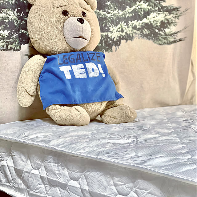 tedぬいぐるみ/狭い部屋/6畳/RoomClipショッピング/RoomClipショッピングで買ったモノ...などのインテリア実例 - 2022-01-30 13:44:43