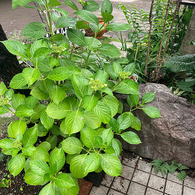mamaさんの部屋