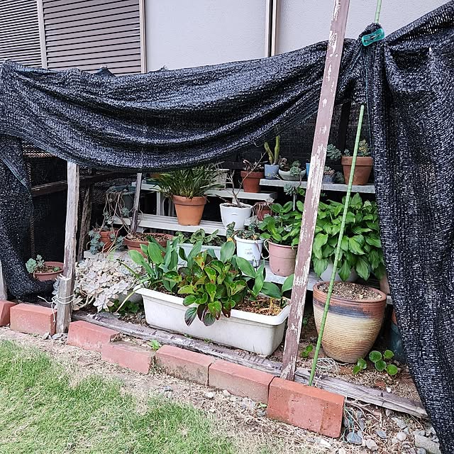 fuchan0930さんの部屋
