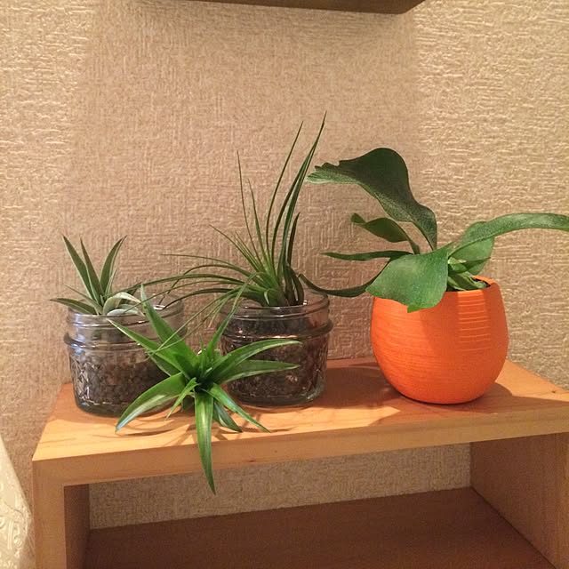 SAFARIさんの実例写真