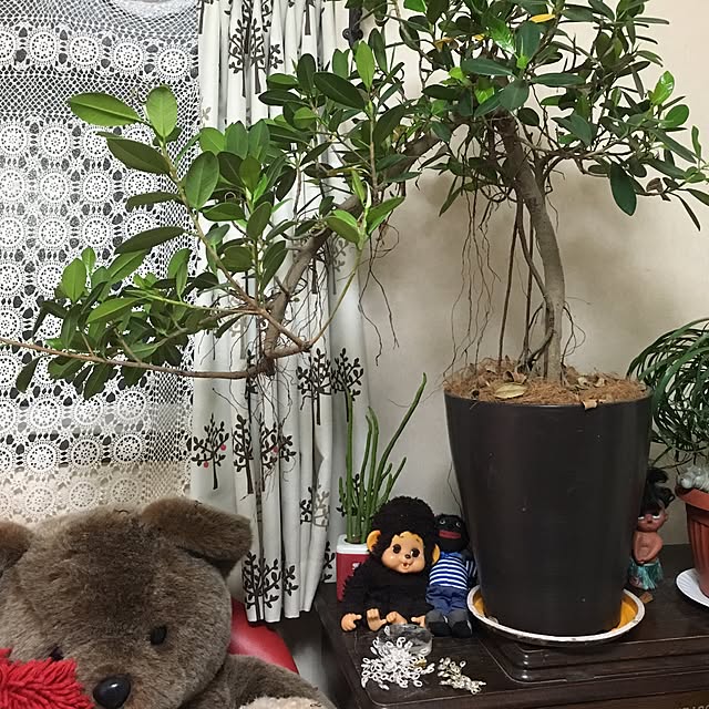 happy0612さんの実例写真