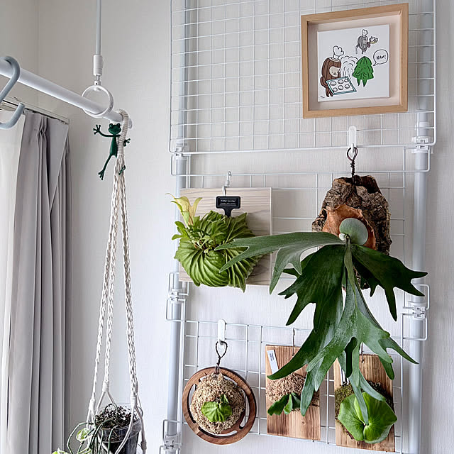 carocaroさんの実例写真