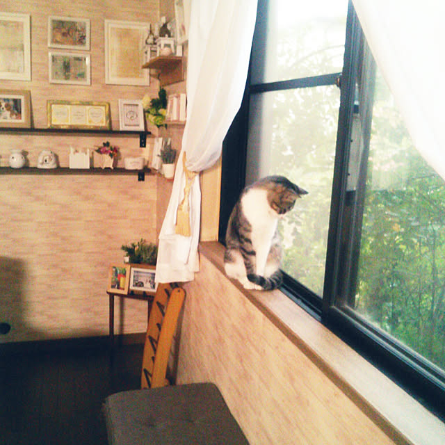 Tomopさんの実例写真