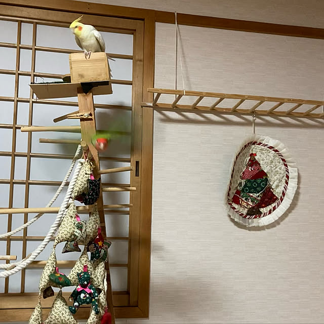 toratanさんの実例写真