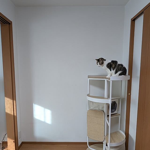 diopucciさんの部屋