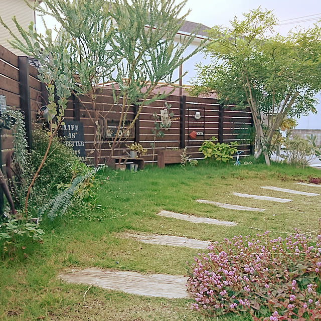 kosata117さんの実例写真