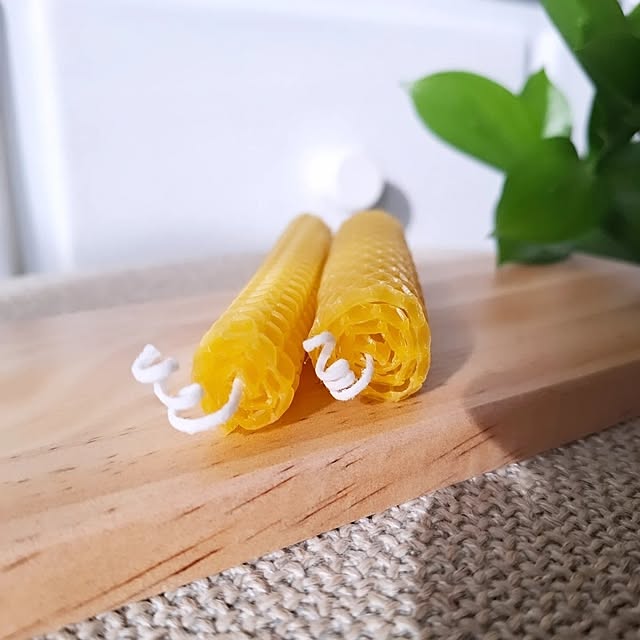 lovesspongebobさんの部屋