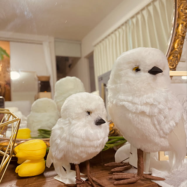 puritan_rさんの実例写真