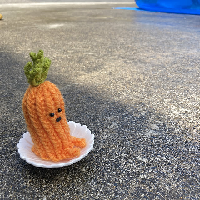 manduonmaさんの実例写真
