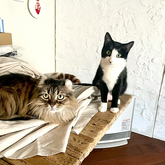 louisさんの実例写真