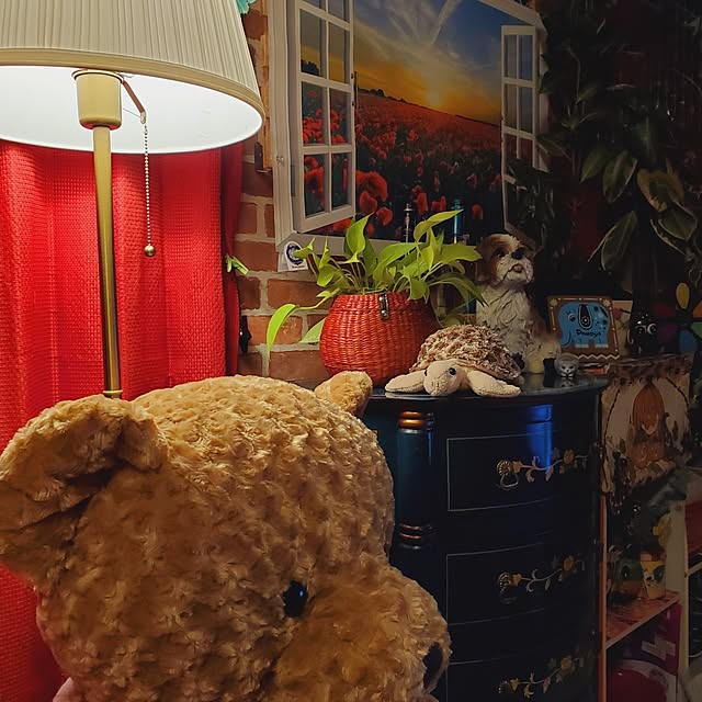 kumutanさんの実例写真