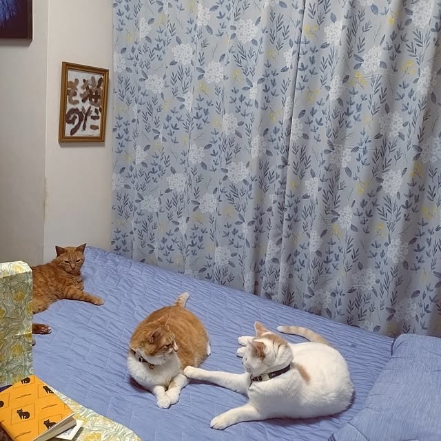 NOAHさんの部屋