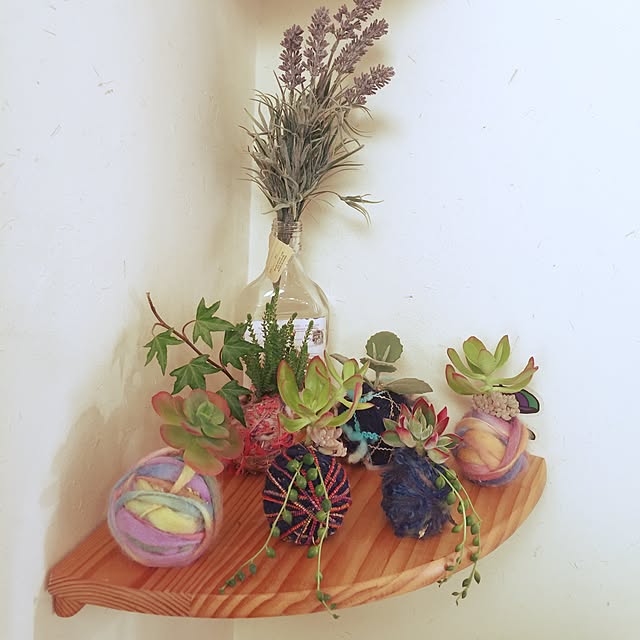 棚/手作り/多肉植物のインテリア実例 - 2015-02-02 08:26:44