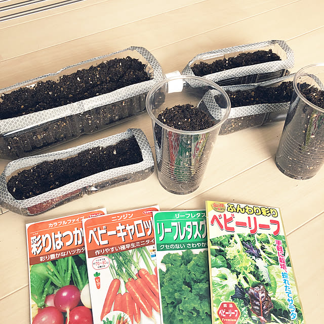 coronさんの実例写真