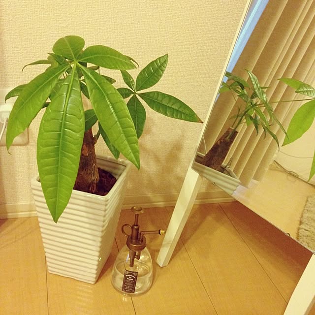 Kumikoさんの実例写真