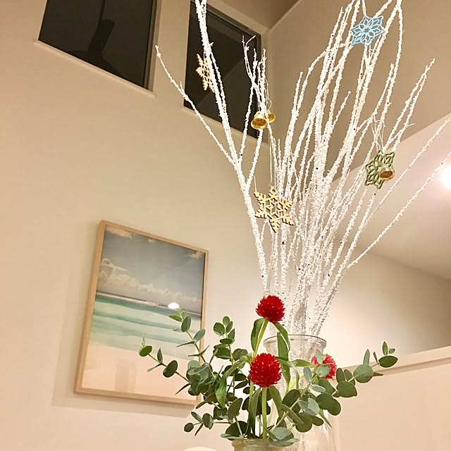 Mikiさんの実例写真