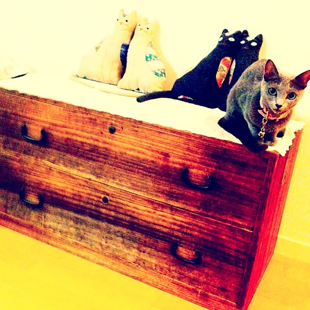 nekochanさんの実例写真