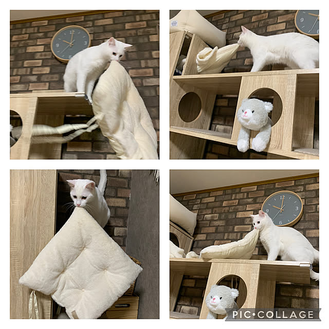 keiさんの実例写真
