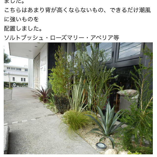 SAKさんの実例写真