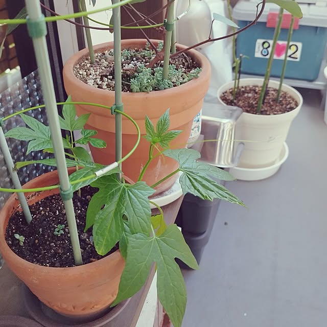 hiro3さんの部屋