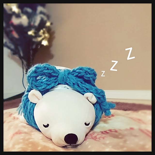 Misakiさんの実例写真