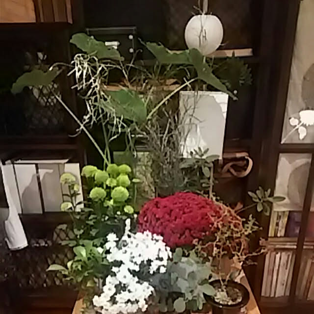 spinetailさんの実例写真