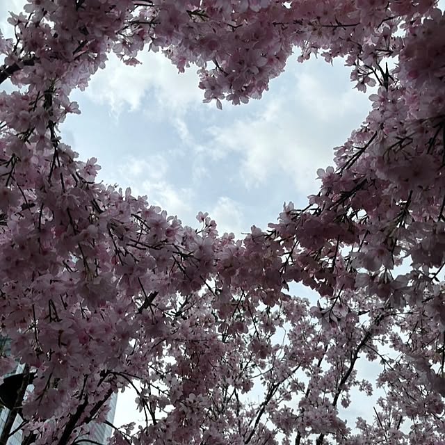 ANTENNAさんの部屋