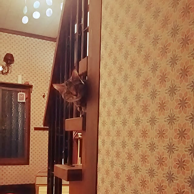 KAORIさんの実例写真