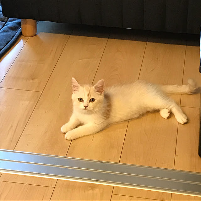 H.Tさんの実例写真