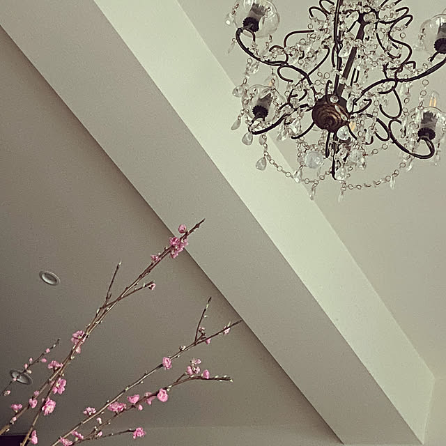 mikoさんの実例写真