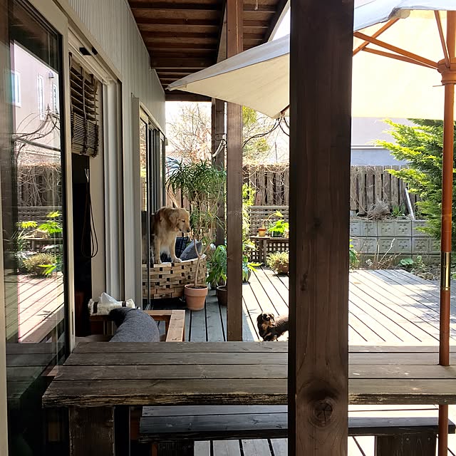 tomowithdogさんの実例写真