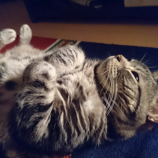 s.tkrnh.5さんの実例写真