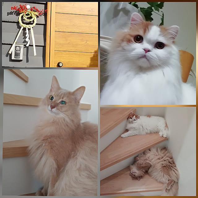 1ldksさんの実例写真