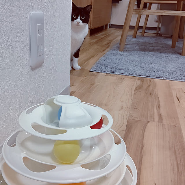 hihaさんの実例写真