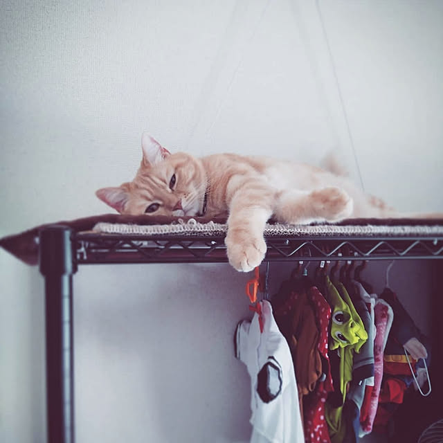mntcさんの実例写真