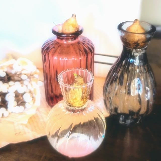 harumoeさんの実例写真