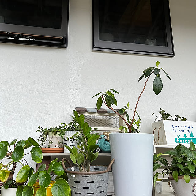 cotaさんの部屋