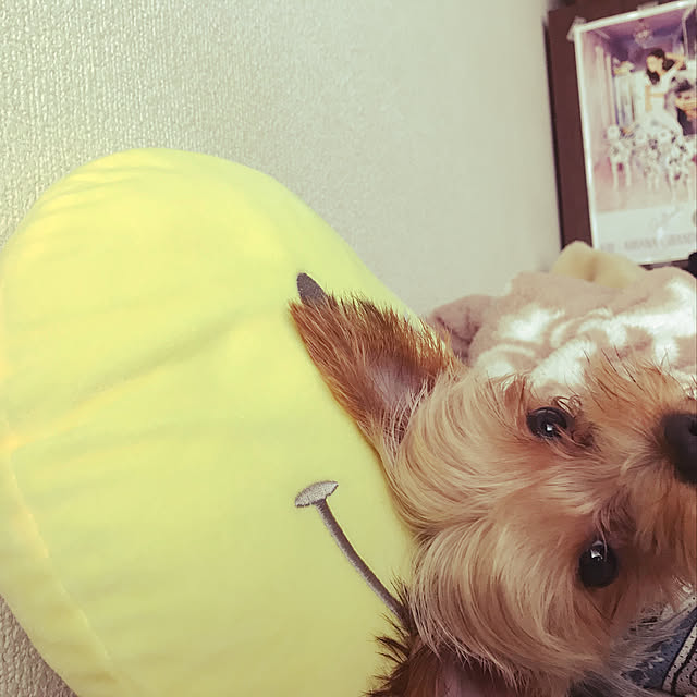 Patricia_Bennettさんの実例写真