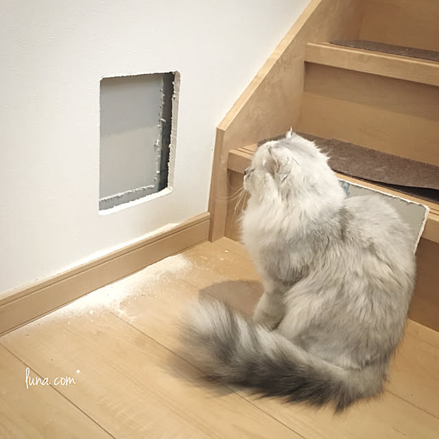 luna.comさんの実例写真