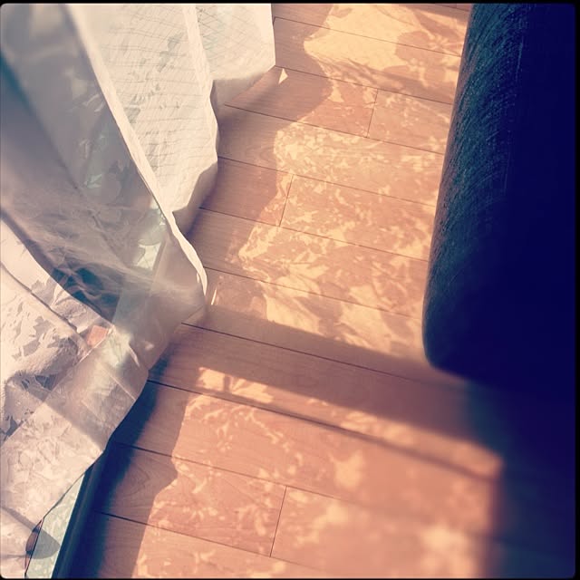 brunaさんの実例写真