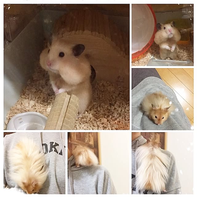 emiさんの実例写真