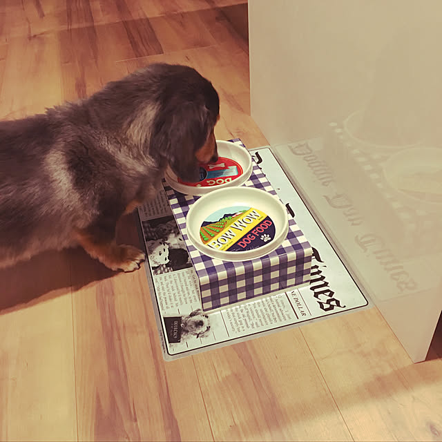 otsutaudonkoさんの実例写真